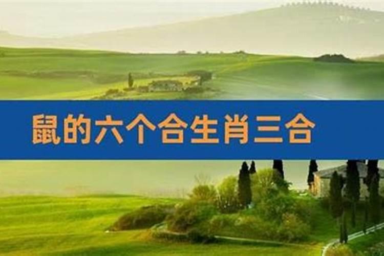 72年鼠在2025年的每月运势