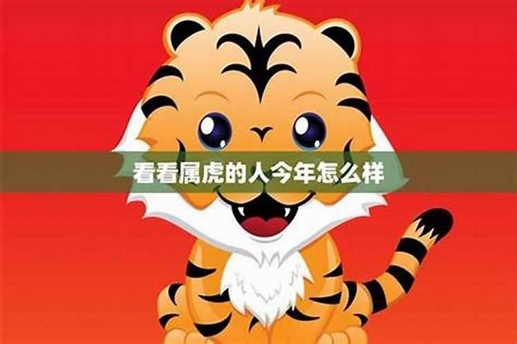 生肖牛狮子座和生肖猪处女座