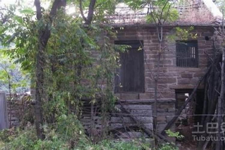 梦见小偷被我抓住了的预兆