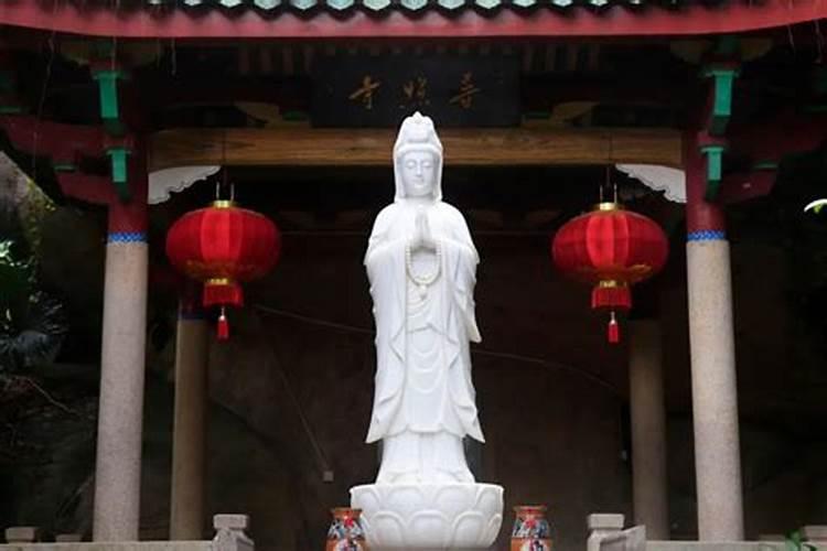 普陀山拜佛,要说老公姓名还是老婆姓名