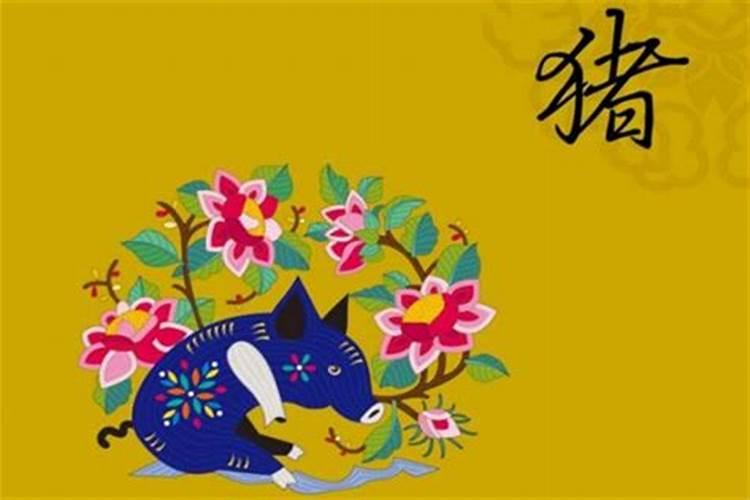 九五年属猪今年多大了