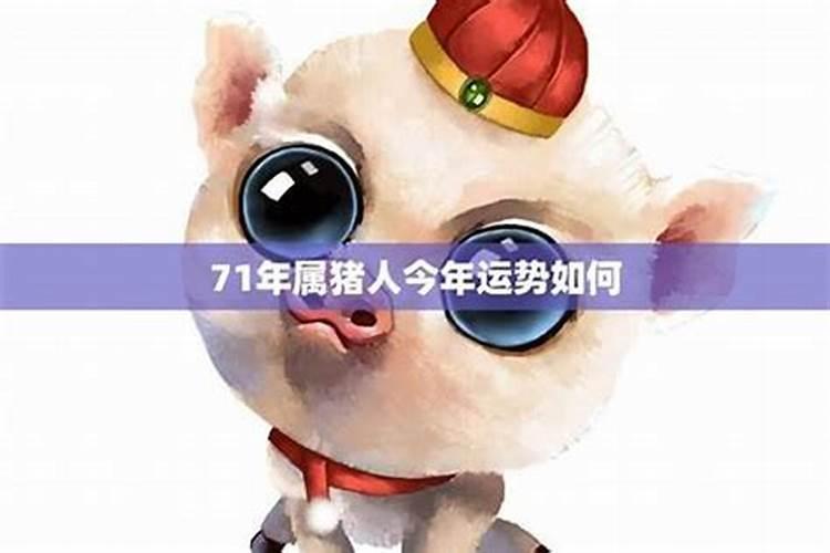 71年的猪男2025年每月运势与运程