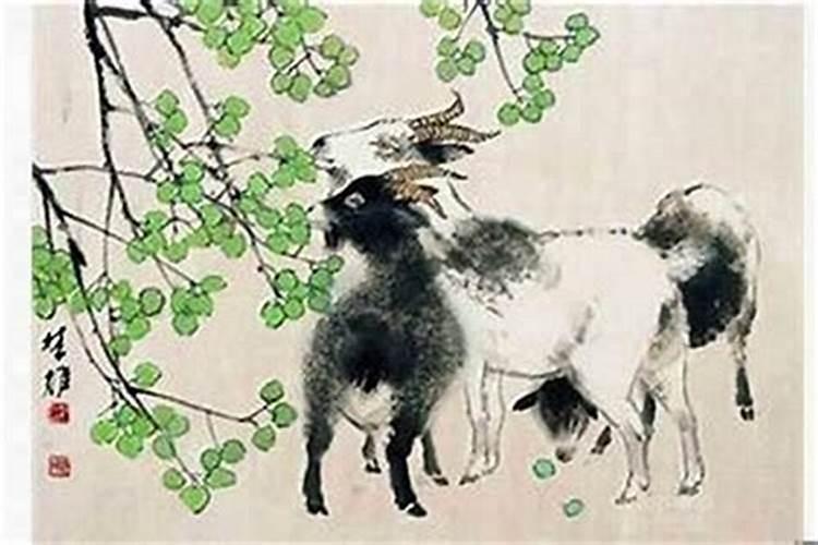 本命年运气不好要过多久才能转运