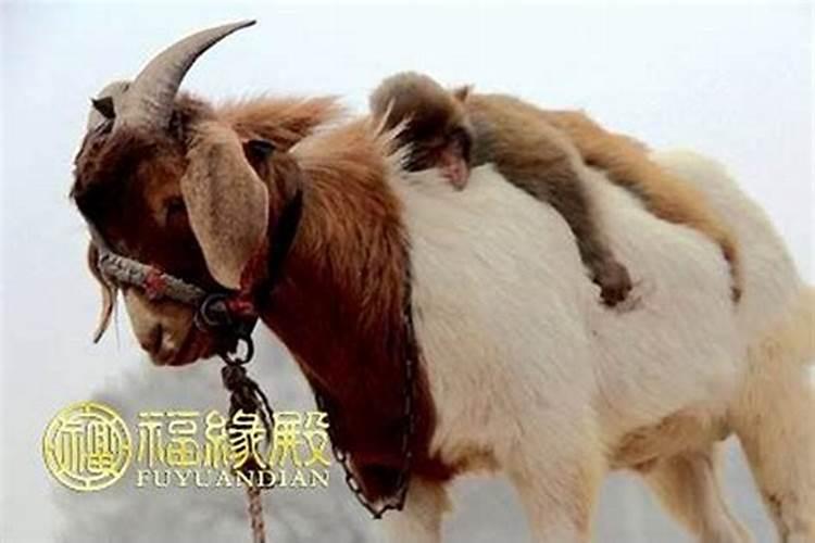 八字空亡是什么意思？