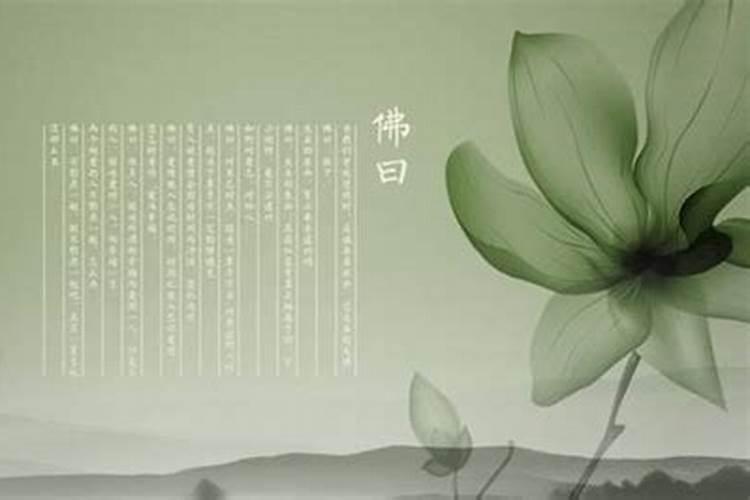 属羊的和什么属相最配