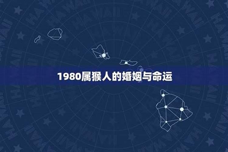 80年属猴人注定的婚姻 80年属猴人一生命运如何