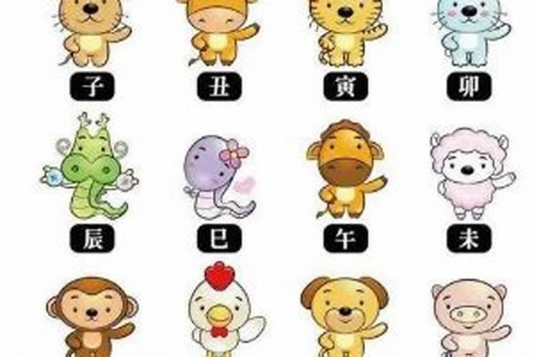 农历每每月的天数属相查询,每个月份的属相是什么