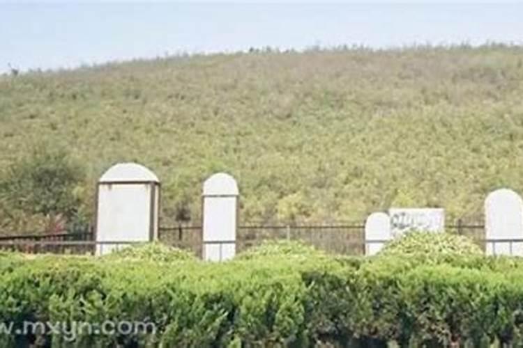 女人梦见路过一片坟地预示什么意思