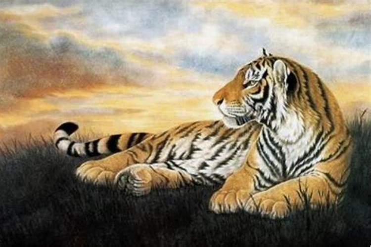今年属蛇的犯太岁吗 猪年蛇怎么化解太岁？