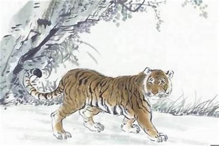 1974年属虎人阴历十月亥时出生的人的一生