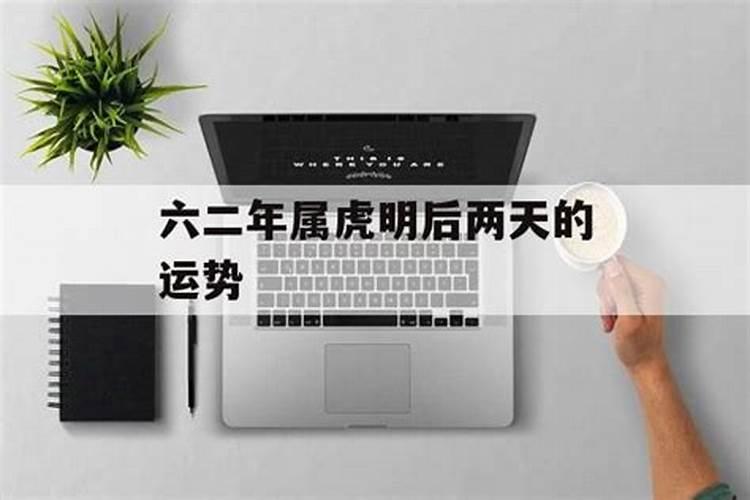 62年属虎2024年运势及每月运程 六二年属虎的人2024年运势