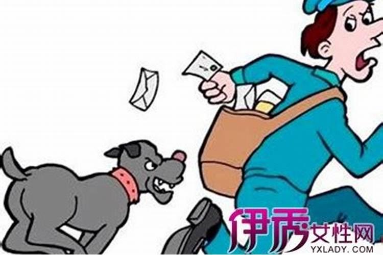 梦见死去的动物复活的预兆
