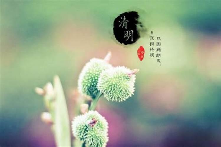 夏至吃馄饨的由来和传说 冬至饺子夏至面的由来