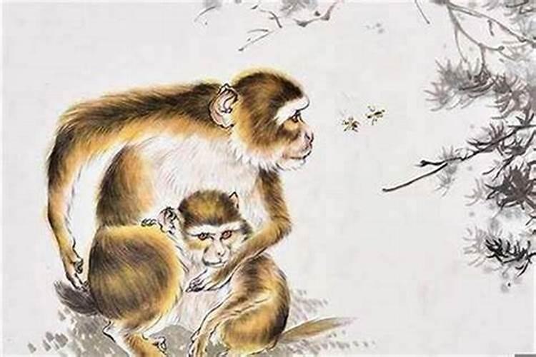 犯太岁怎么化解犯太岁的九个化解方法