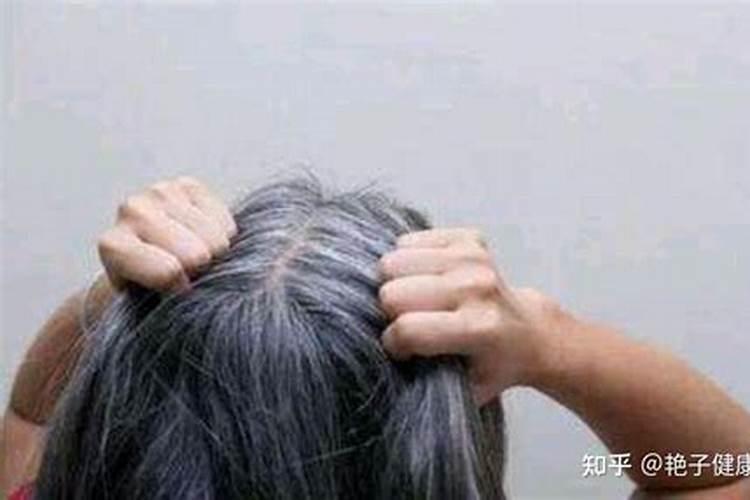梦见白头发老人