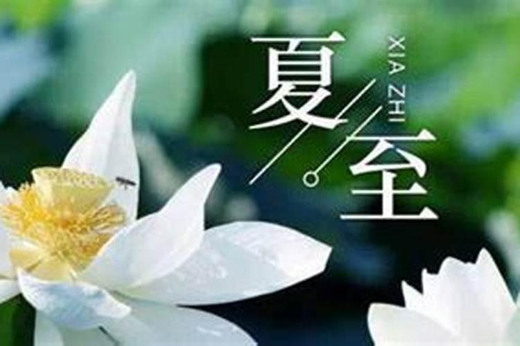 属狗九月出生人命运如何