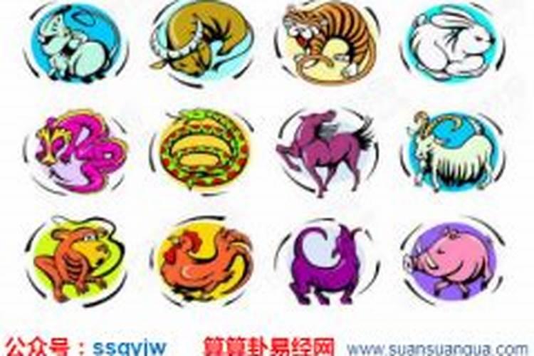 一九五八年属相婚配,一九九五年属猪的和一九九八年属虎的相配吗？