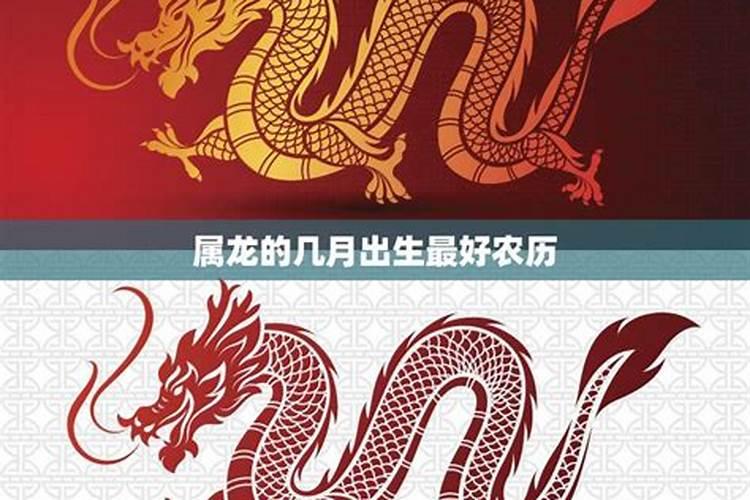 龙年宝宝农历二月十六出生怎么样？