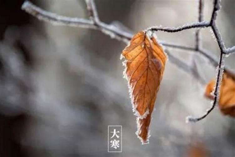 一年中所有的节日的先后顺序是什么？