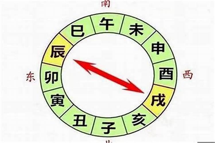 2025年的生肖表