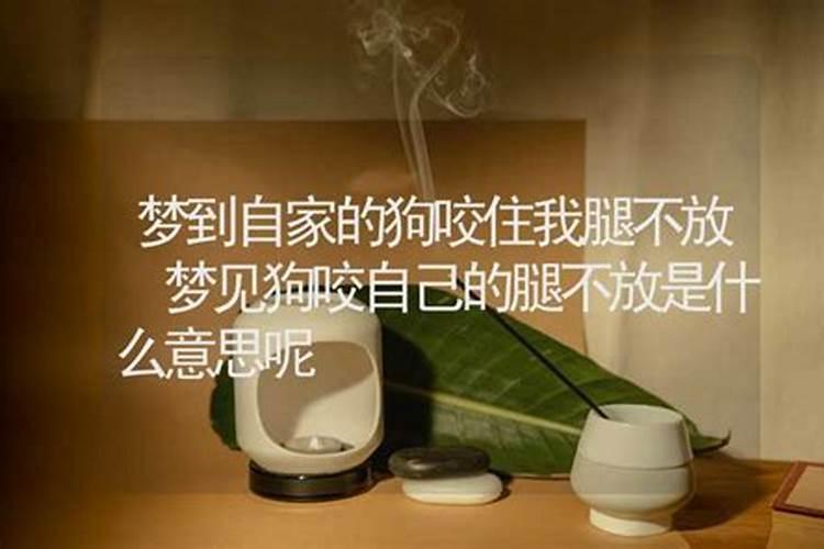 梦见狗咬住脚不放的预兆