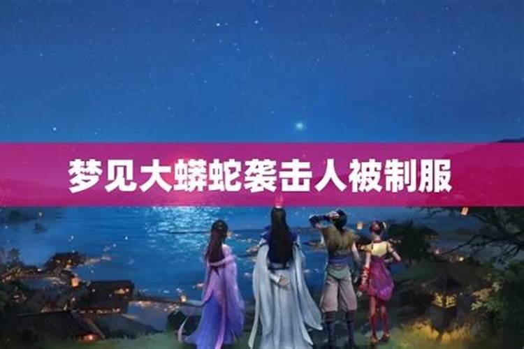 梦见打死巨蟒是什么预兆