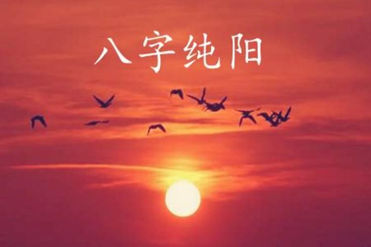 八字纯阳之人不宜算命