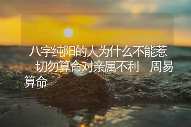 为什么不纯阳之女算命？