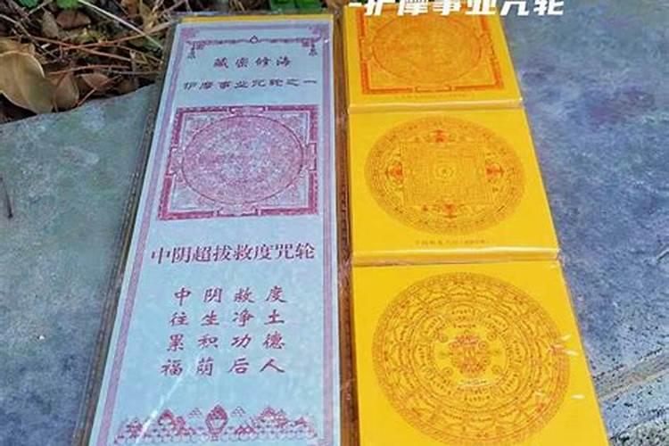 属兔的人2025年的运势及运程