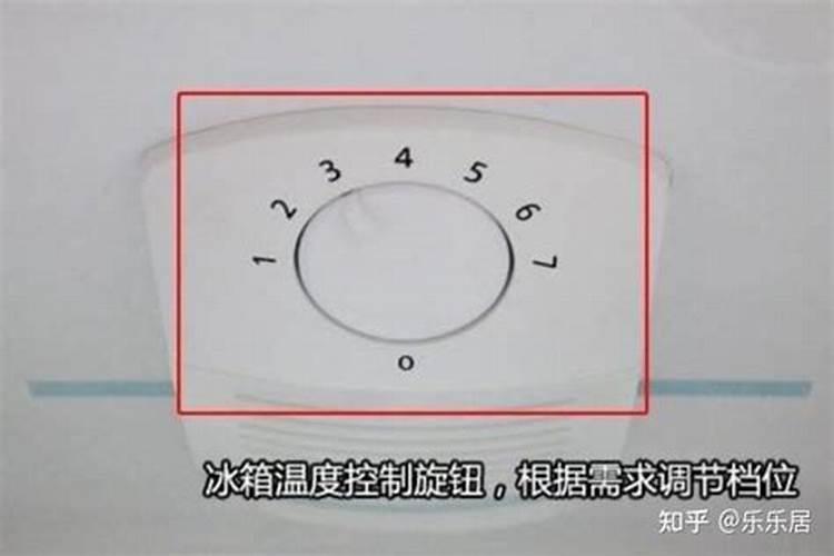 女人梦见猫抓自己是什么预兆