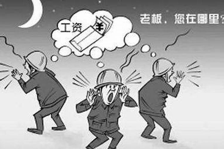 梦到猫抓自己是什么意思周公解梦