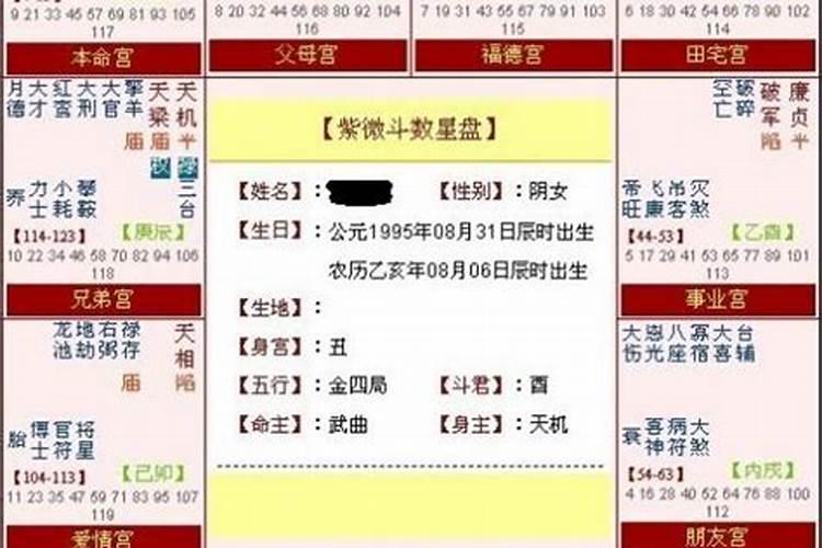 身宫命宫胎元算命一绝,八字胎元神煞？