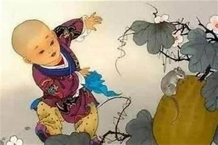 1984鼠女的命运