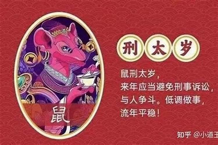 2024年属鼠刑太岁要注意什么 生肖鼠在兔年犯太岁化解方法(讲解)百度知...