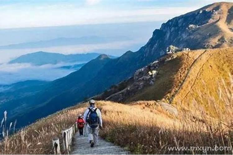 梦见和亲人一起去爬山