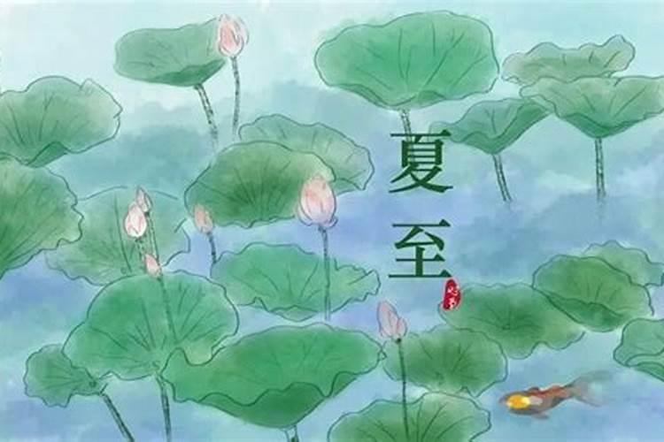 梦见厕所里满地大便没地方下脚
