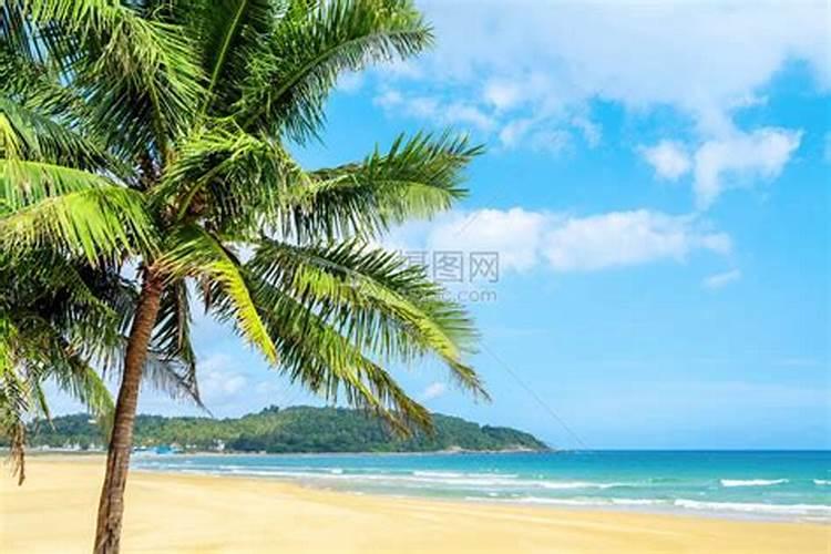 立夏后,建议这5种水果放开了吃,当下正是上市季,新鲜还不贵