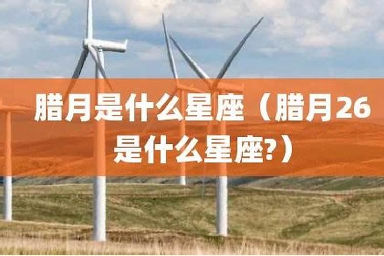 请问阳历2001年1月13日出生农历是几月初几？