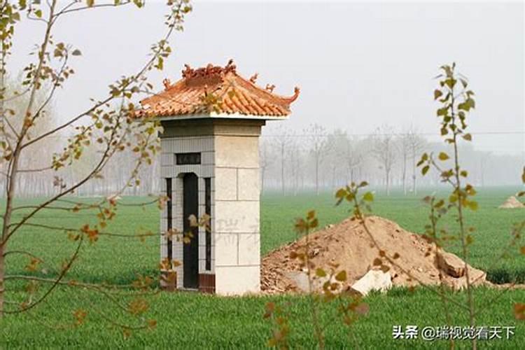 请高手算算1985年12月29日午时出生今年运情
