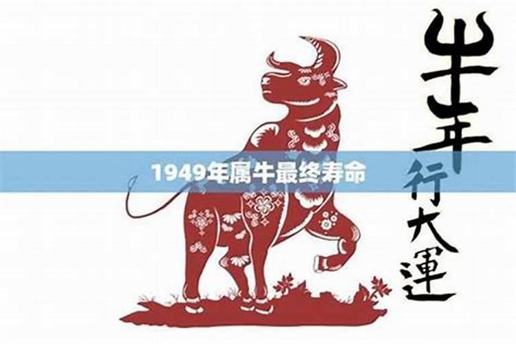 1950年属虎人2024年运势及运程