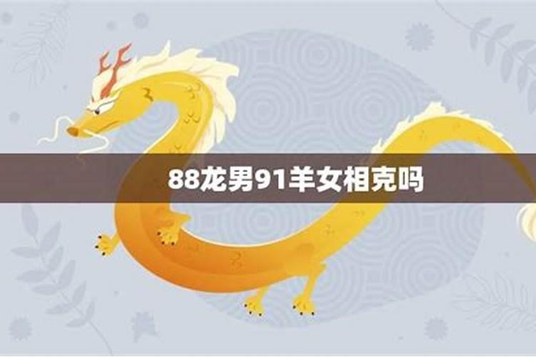 男兔和女龙的婚配属相好吗