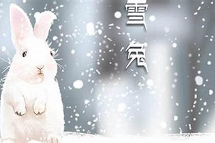 男友属羊,我属兔,算命的说我们两个命里不相生什么意思？