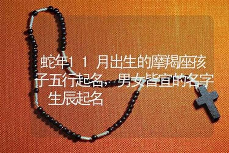 属蛇男十一月出生命运如何,1977年属蛇人46岁大难