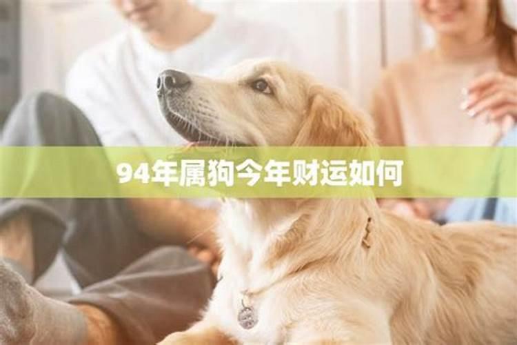 94属狗终身的大劫年 运势及运程？