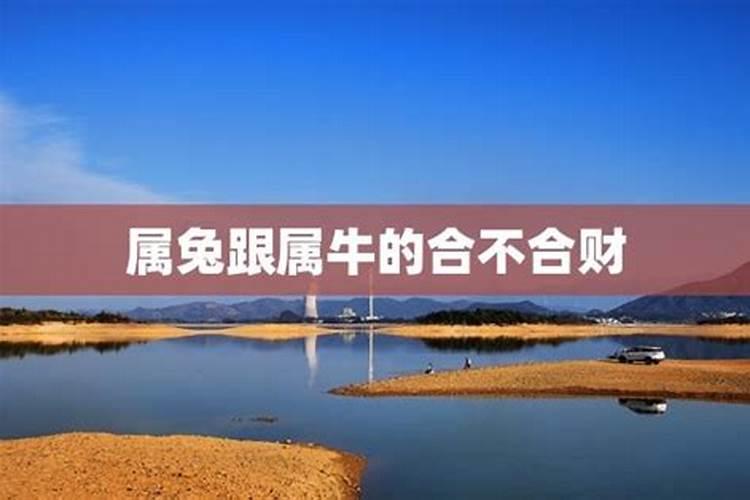 生肖问题,男兔和女牛结婚咋样？ 加八字,如比较差,有什么东西带了可以化...