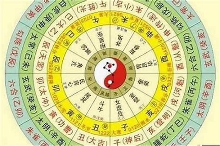 2025年属猪的全年运势