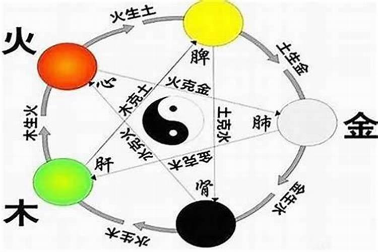 五行怎么看自己属于什么