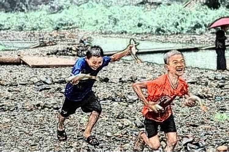 梦到弟弟被抓什么意思