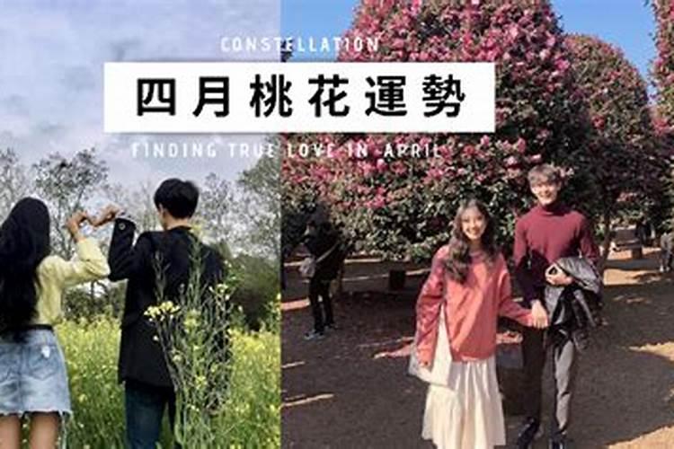 从4月20日开始 运势如虹 会财源滚滚 桃花旺旺的三大生肖