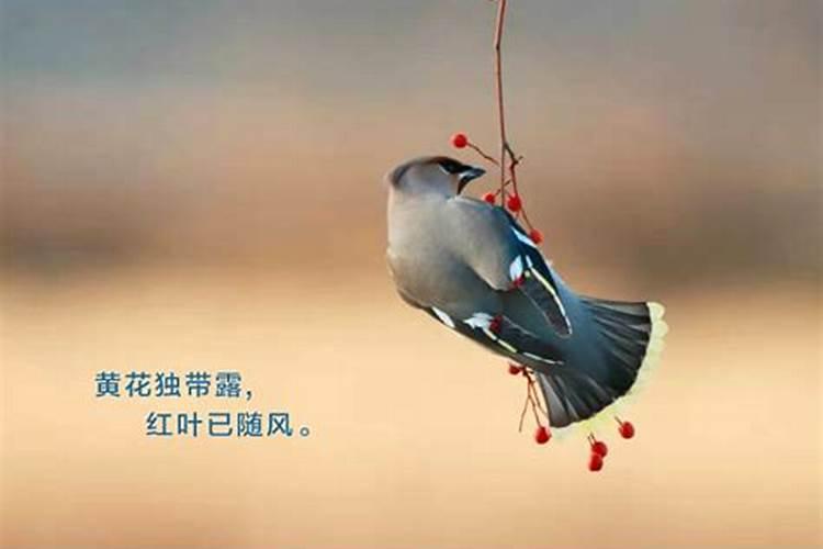 各地立冬节气传统习俗介绍大全